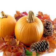 Decorations
