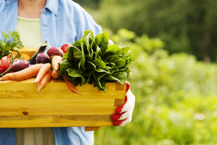 person holding basket