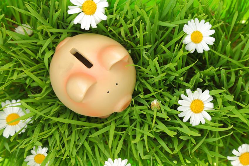 Piggy Bank in the grass with flowers around it