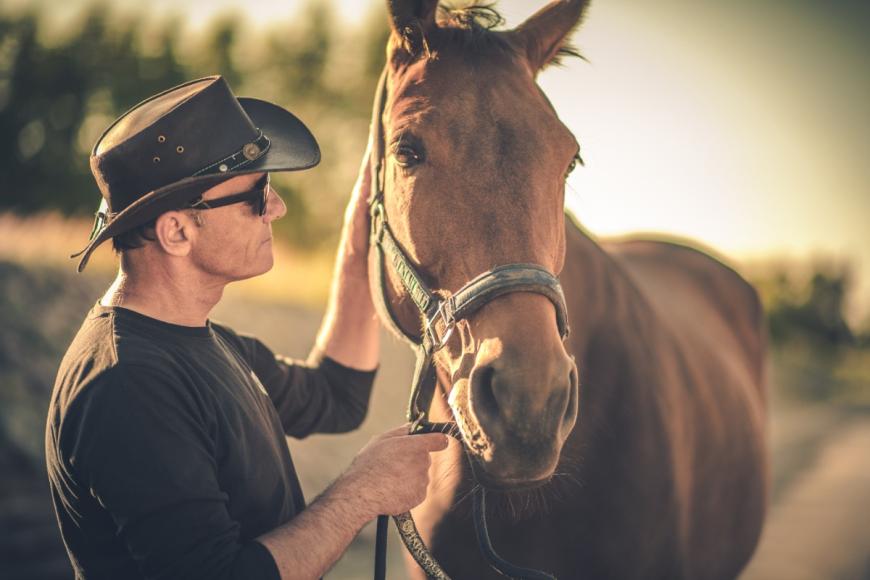 Man with horse