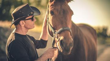 Man with horse