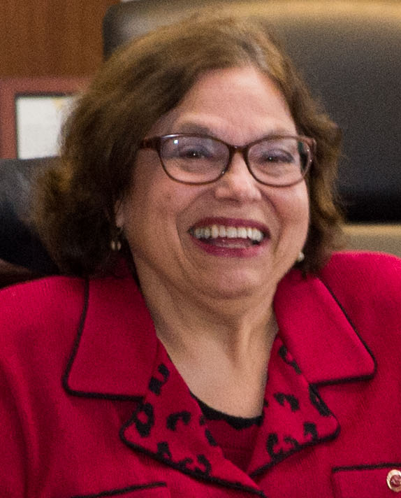 Judith Huemann, Disability Rights Activist